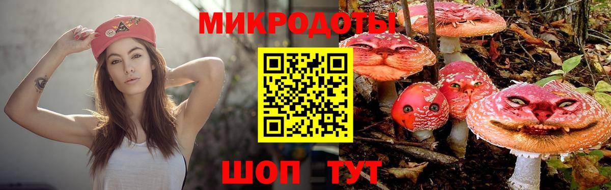 Псилоцибиновые грибы GOLDEN TEACHER Керчь